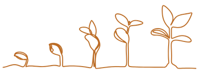 preconception care for lgbtq families snohomish county wa