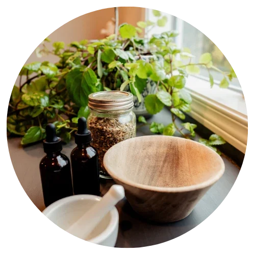 A pestle and drams for holistic health are pictures in front of a plant at the Wildflower Midwifery and Fertility office in Woodinville, WA