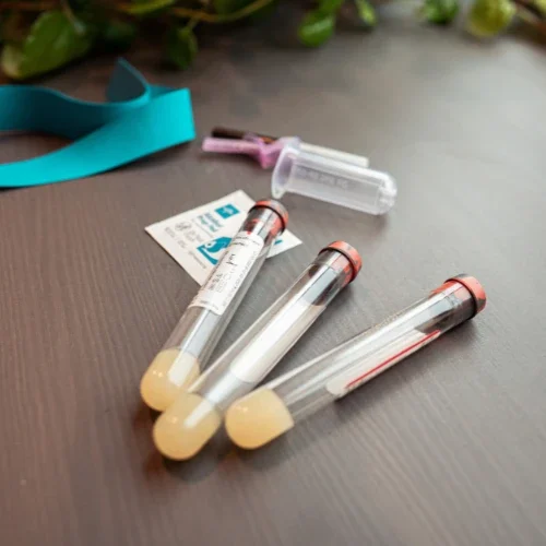 3 vials of blood on a table taken during a preconception wellness appointment with Wildflower Midwifery and Fertility
